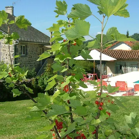 La Maison Pres D'aurillac Bed & Breakfast *